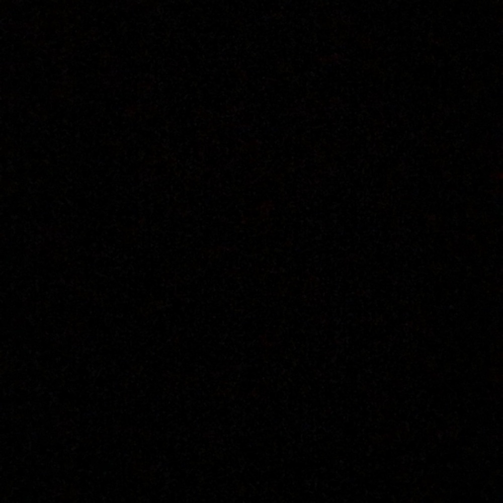 Meet your Posher, Maddie